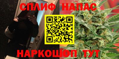 прущие грибы Мариинск