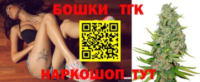 прущие грибы Мариинск