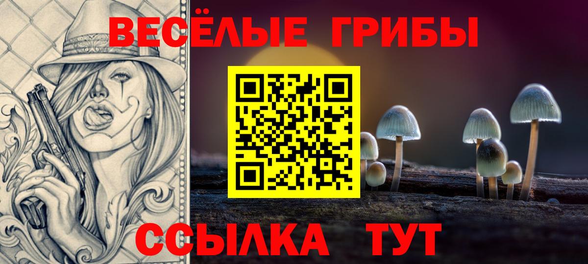 Псилоцибиновые грибы мухоморы Черкесск